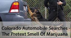 Colorado Automobile Searches - The Pretext Smell Of Marijuana