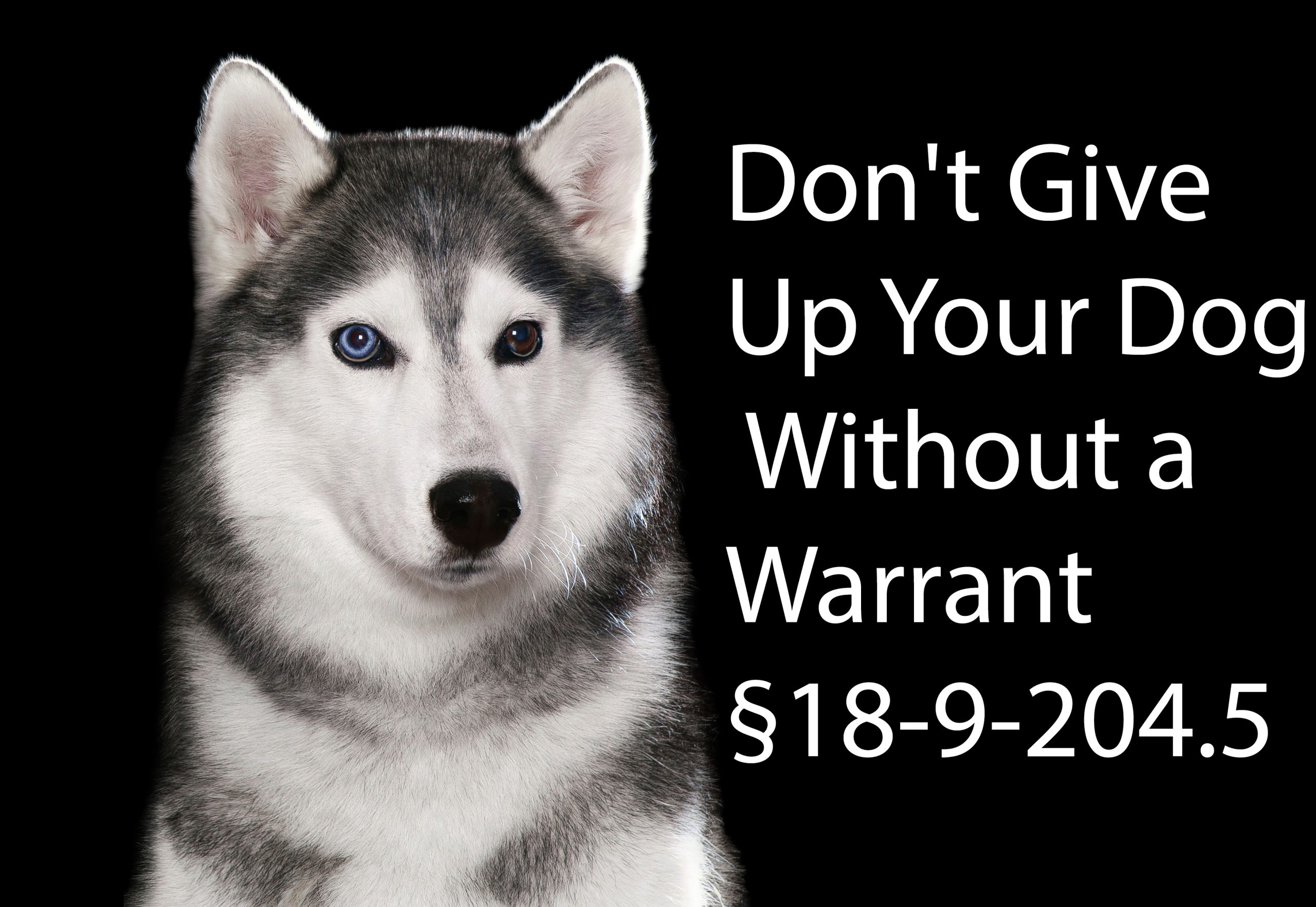 Guest Post - Don&rsquo;t Give Up Your Dog Without a Warrant §18-9-204.5 