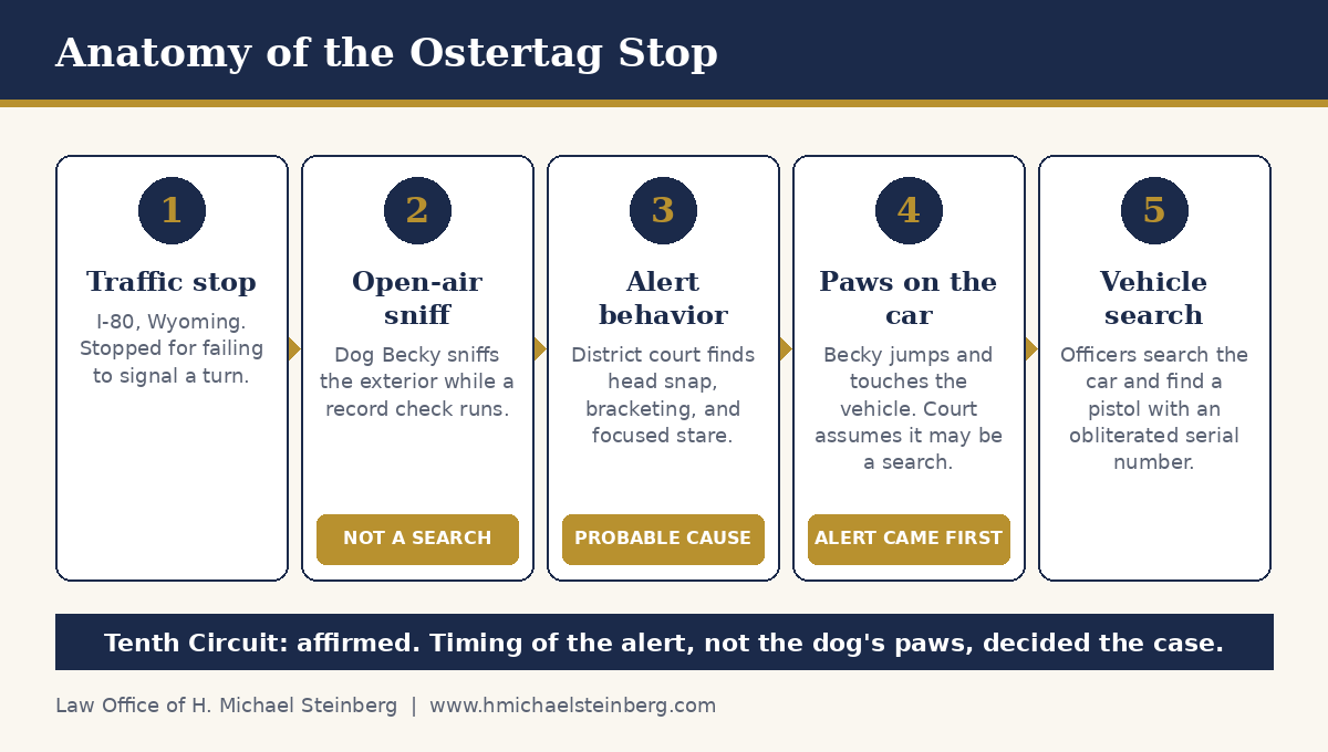 What Happened in U.S. v. Ostertag